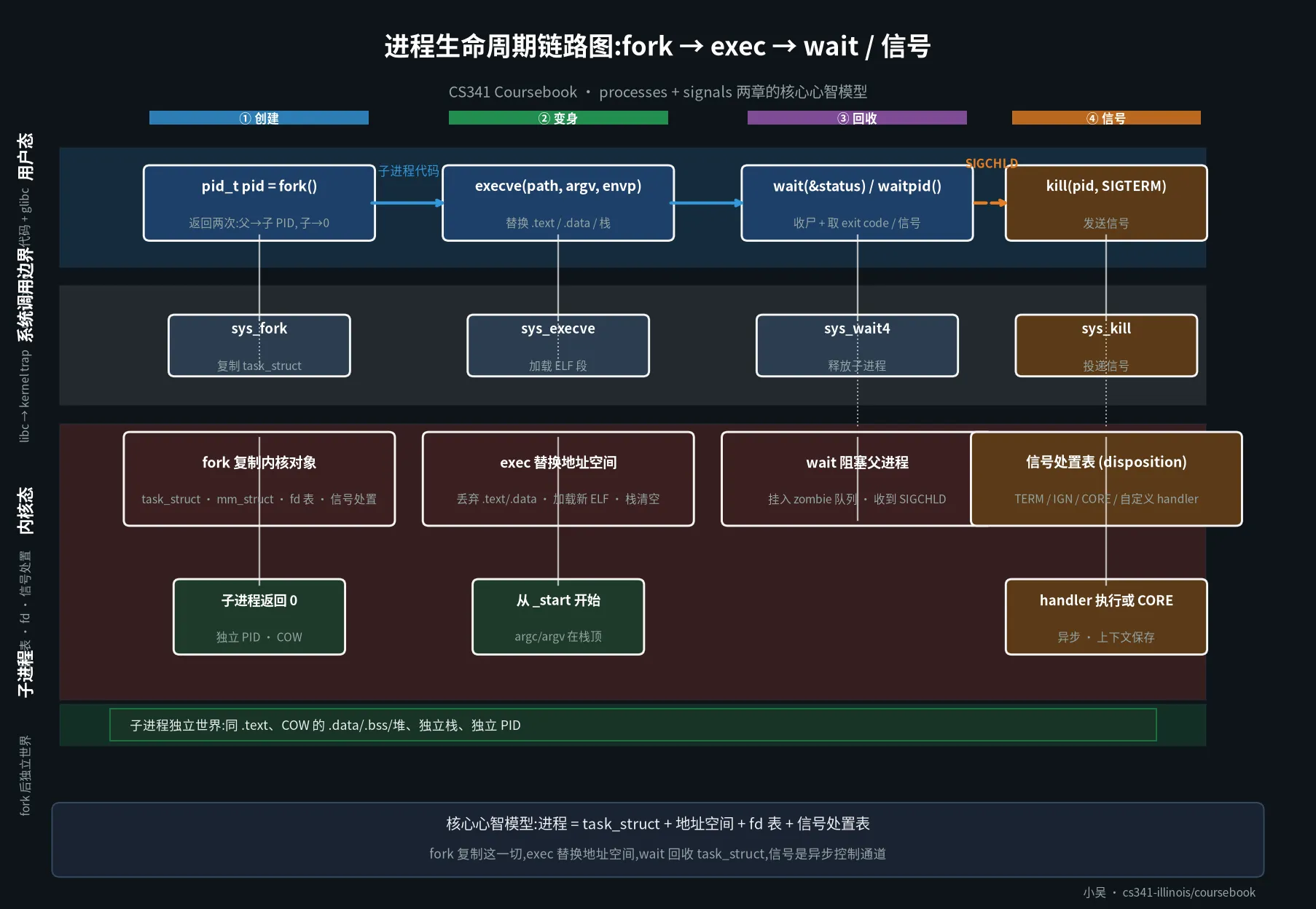 进程生命周期链路图:fork → exec → wait / 信号